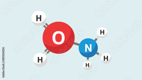 A molecule with oxygen nitrogen and hydrogen atoms