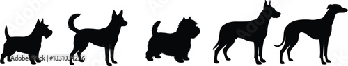 Set of Five Different Dog Breed Silhouettes Isolated on White, Depicting Various Sizes and Shapes for Veterinary, Pet Care, and Animal Classification Design Projects.