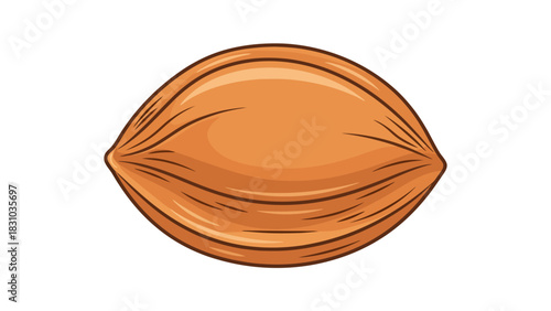 A brown ovalshaped nut with ribbed texture on a white background
