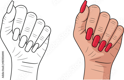 Illustration of a female hand with long painted nails shown in both line art and colored version for beauty and nail design