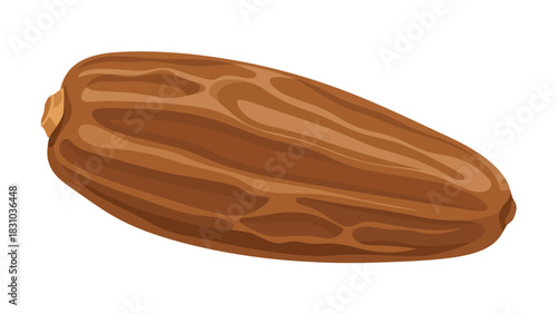 A single brown date with a textured surface on a white background