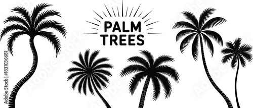 Stylized Palm Tree Silhouettes with Sunburst Text Design Featuring Tropical Shapes and Bold Black Artwork on White Background