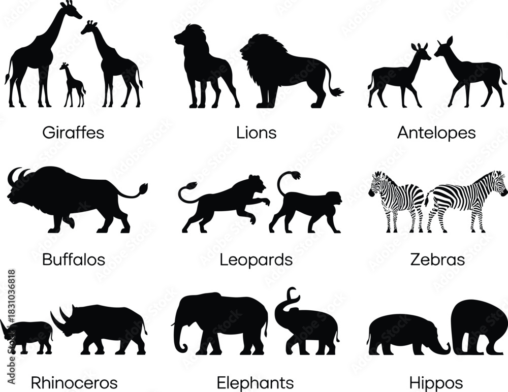 Naklejka premium African Animal Silhouettes Featuring Lions, Elephants, Giraffes, Zebras, and More – Educational Wildlife Chart for Visual Comparison