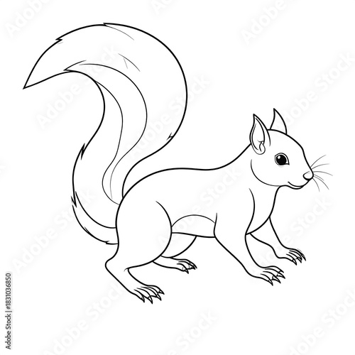 Black and white, simple line drawing of a squirrel with a large fluffy tail on a white background