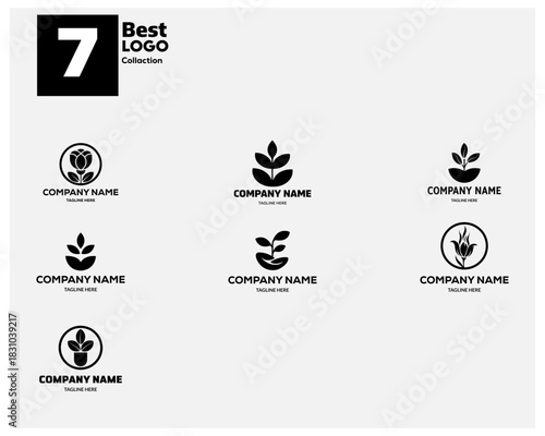 Leaves logo vector set Healty live medical logo template Creative Leaf And Olive Oil Logo Design