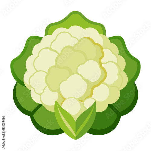 Fresh cauliflower vegetable illustration for healthy eating campaign, vibrant food concept for culinary designs, promoting vegan lifestyle and farm-to-table freshness