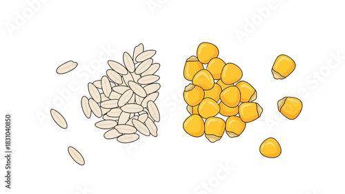 Two piles of grain oats and corn on a white background