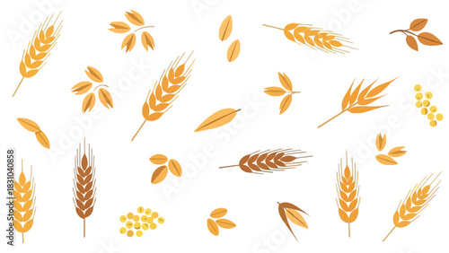 Various grains and seeds including wheat ears and small legumes