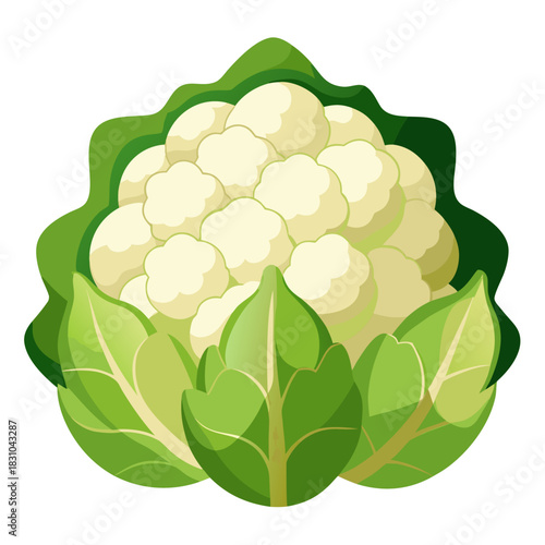 Fresh cauliflower with vibrant green leaves, a tempting visual for healthy recipes, vegetarian options, and farm-to-table concepts, perfect for culinary designs