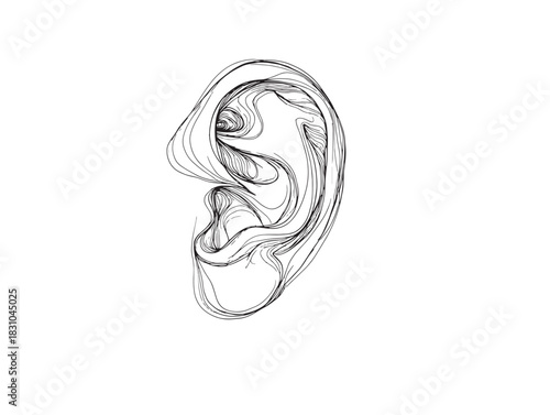 Human ear 2D vector line art in a clean minimalist style for modern design