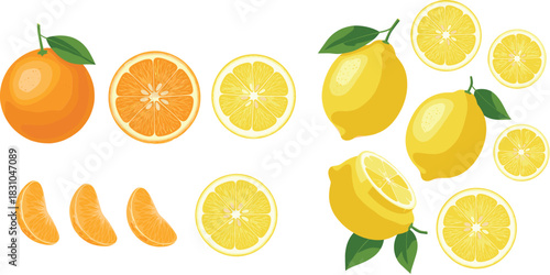  Citrus fruit illustration set featuring fresh lemons and oranges, whole fruits, slices, wedges, and segments with green leaves for food and beverage designs