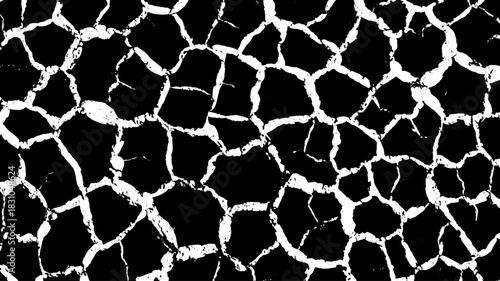 Cracked surface texture in black and white vector illustration. Hand-drawn design with detailed patterns, presented as a set.