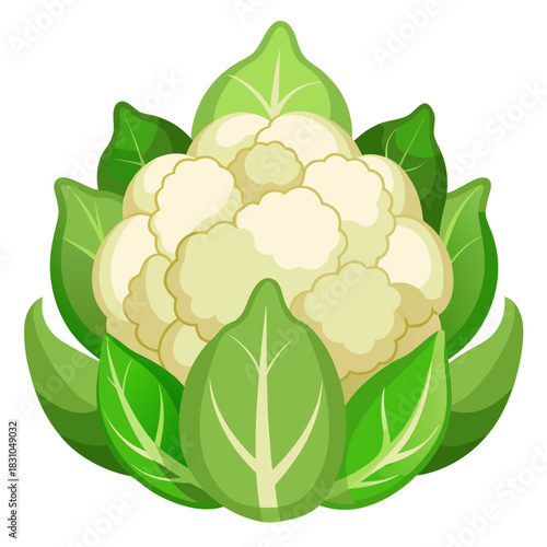 Fresh cauliflower with leafy greens, a vibrant and healthy food source for vegetarian dishes, perfect for illustrating farm-to-table concepts and promoting nutritious eating habits