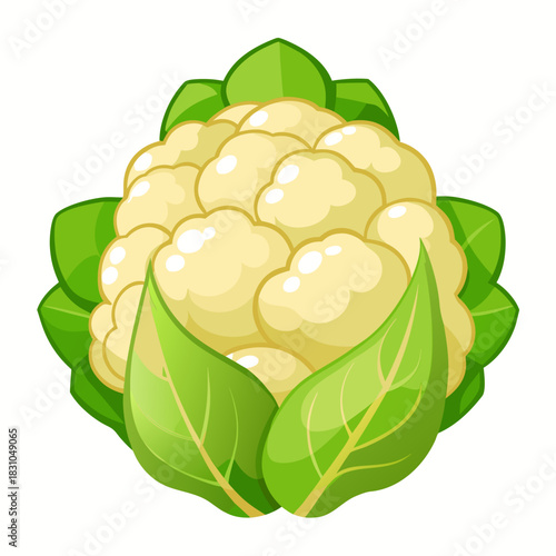 Fresh cauliflower illustration, perfect for recipes and healthy eating campaigns, bringing a vibrant and organic touch to your designs, ideal for food blogs and marketing materials