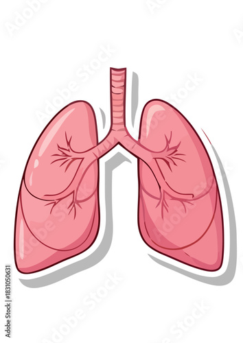 Anatomical Illustration of Human Lungs and Bronchial System in Sticker Style