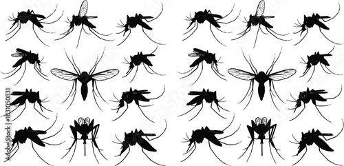 Mosquito silhouette grid, insect illustration, wing detail, egg cluster, entomology study, vector control, black design, educational pattern, nature graphic