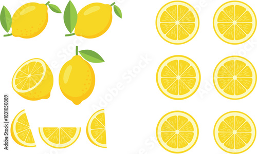 Fresh lemon fruit and sliced citrus illustration set featuring whole lemons, halves, wedges, and round slices for food, drink, and ingredient concepts