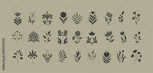 Set of simple geometric branch and flowers. Botanic silhouette, wavy and boho elements. Leaves and branches print for logo, or packaging