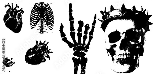Human anatomy vector illustration featuring a set of bones, including a heart, skull, ribcage, and hand. Black and white graphic design emphasizing structure.