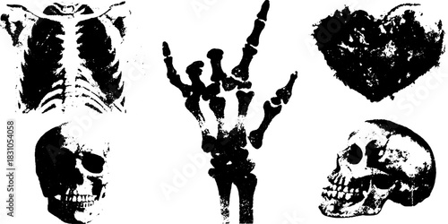 Skeleton illustrations including a skull, ribcage, and hand. Black and white vector art for anatomical representation set.