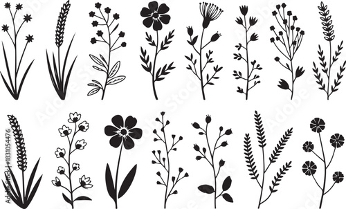 Collection of Vector Black Floral Silhouettes Isolated on Transparent Background for Decorative Purposes Like Invitation Cards 130 Char