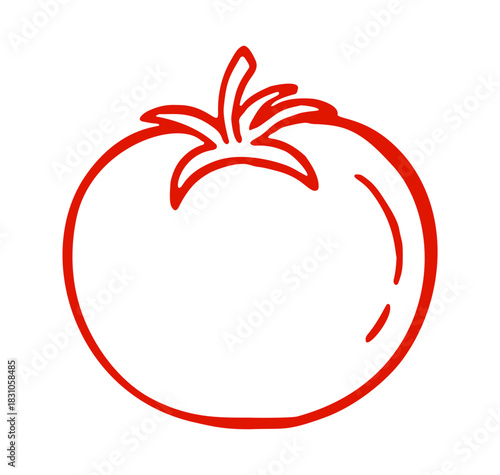 tomato mediterranean doodle. Vector doodle illustration icon isolated on white bg