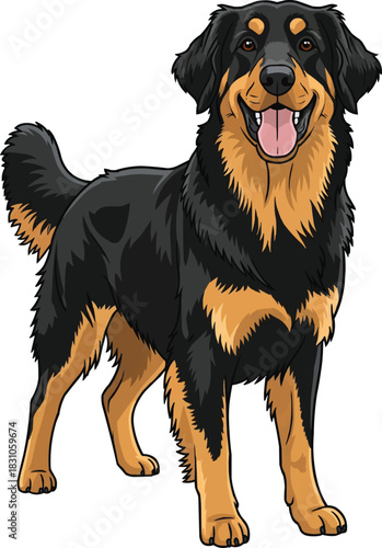 Hovawart dog standing happy panting smiling cute pose