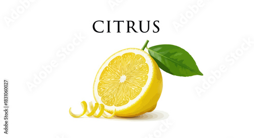 Fresh juicy lemon half with green leaf and elegant zest curl on white background for design