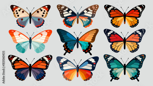 This vibrant illustration displays a collection of diverse, colorful butterflies with intricate wing patterns, capturing the delicate beauty and variety of these insects.