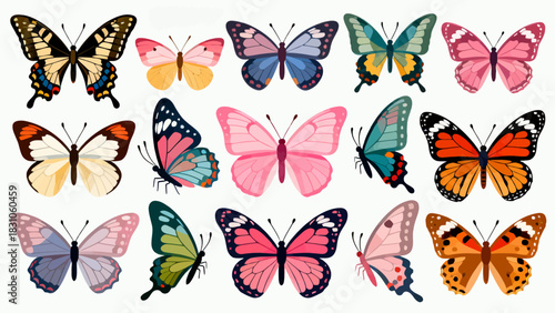 This vibrant illustration displays a collection of diverse, colorful butterflies with intricate wing patterns, capturing the delicate beauty and variety of these insects.