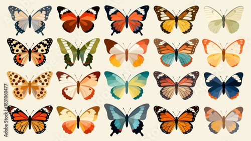 This vibrant illustration displays a collection of diverse, colorful butterflies with intricate wing patterns, capturing the delicate beauty and variety of these insects.