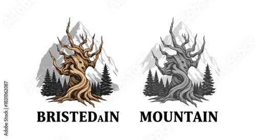 Vintage styled gnarled tree with towering mountains and pine forest illustration artwork