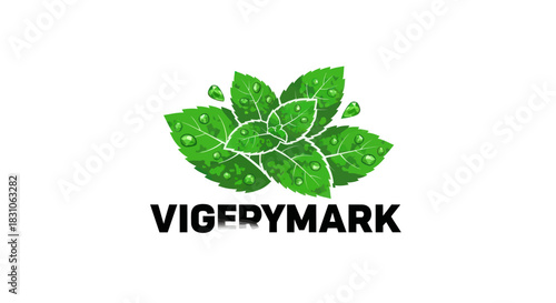 Fresh Green Mint Leaves with Dew Drops Natural Botanical Element Vector Illustration