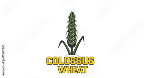 Stylized Green Wheat Stalk Logo Design Representing Agriculture and Natural Grain Food Production