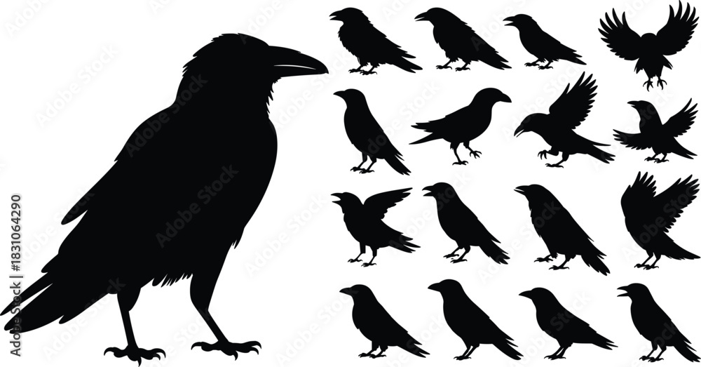 Obraz premium Crow, raven, bird, silhouette, silhouettes, wings, flying, standing, wildlife, nature, beak, feathers, animal outline, vector art, minimal design, dark icons, black graphics, collection, set