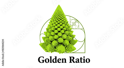 Abstract illustration of Romanesco broccoli demonstrating golden ratio geometry and natural
