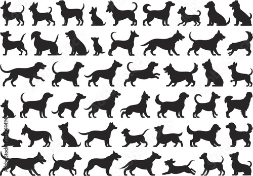 Dog, silhouettes, animals, puppies, breeds, so many, domestic, pets, outline, outlines, vector, artwork, set, pack, collection, black, shapes, icons, graphics, design
