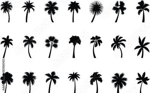 Palm tree silhouettes, tropical summer plants, coconut tree vector icons, island beach botanical set, exotic nature graphics isolated white background art.