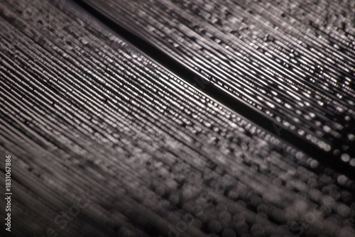 Vinyl record surface close up