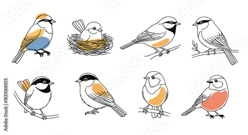 A charming collection of hand-drawn bird illustrations in a line art style with soft color accents including a bird in a nest.