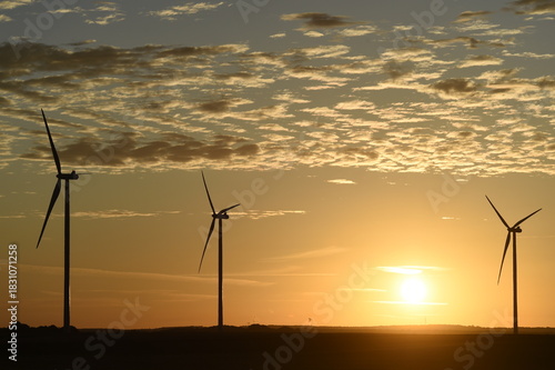 lever de soleil sur des éoliennes à contre-jour; ciel dégradé couleur bleue et orange avec des petits nuages cumulus blancs gris et noirs