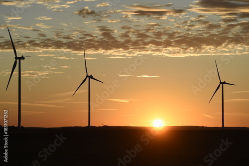 lever de soleil sur des éoliennes à contre-jour; ciel dégradé couleur bleue et orange avec des petits nuages cumulus blancs gris et noirs