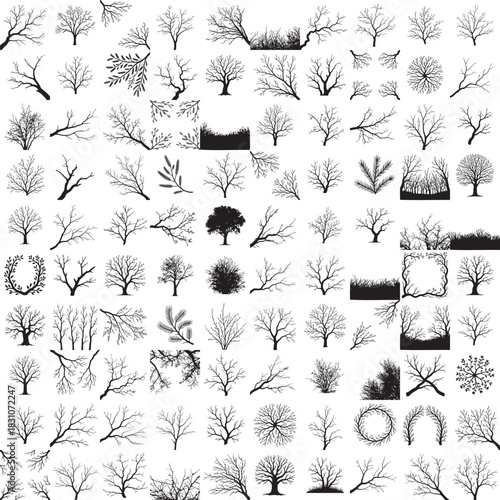 Silhouette of a bare tree limb against a clean background