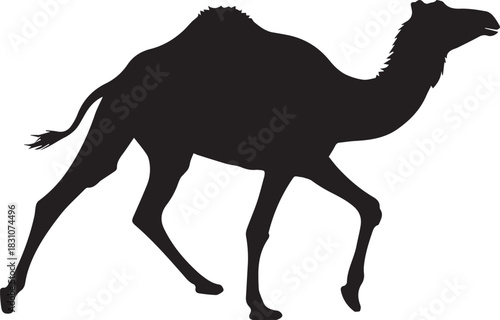 Silhouette of a dromedary camel walking against a white background