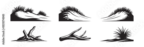 Black and white vector illustrations of grassy dunes and weathered tree roots in a simple style