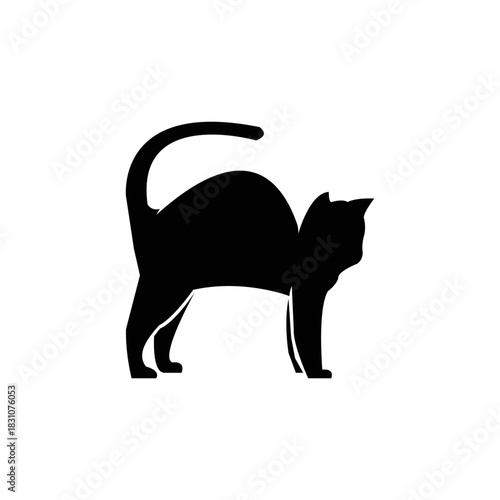A vector graphic of a kitty raising its body/scared