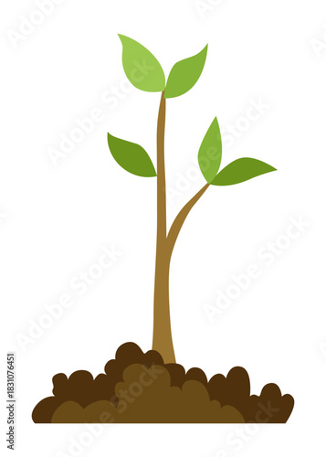 Stage of tree growth. Small tree growth with green leaf and branches. Illustration of business cycle development
