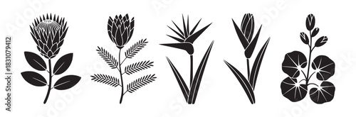 A collection of five different black and white floral illustrations in a simple graphic style