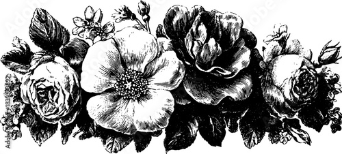 Flower engraving in vintage style. Detailed black outline vector illustration featuring a decorative floral set with intricate textures.