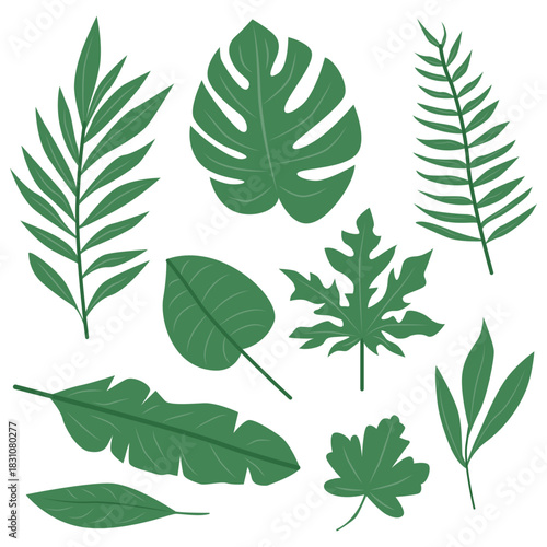 Collection of illustrations green tropical leaves
